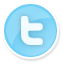 Follow Us on Twitter Button
